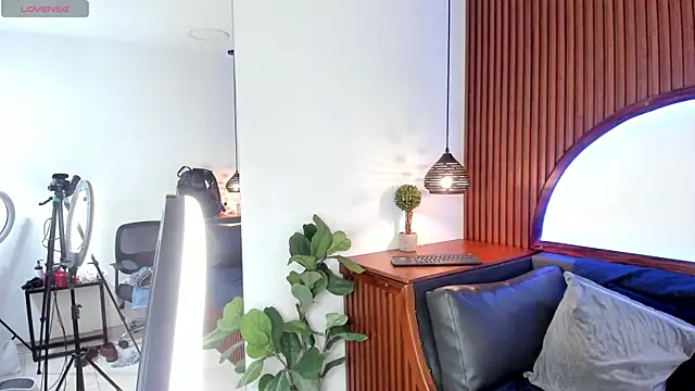 LevinFox webcam