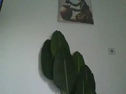 Cutedaisy22 webcam