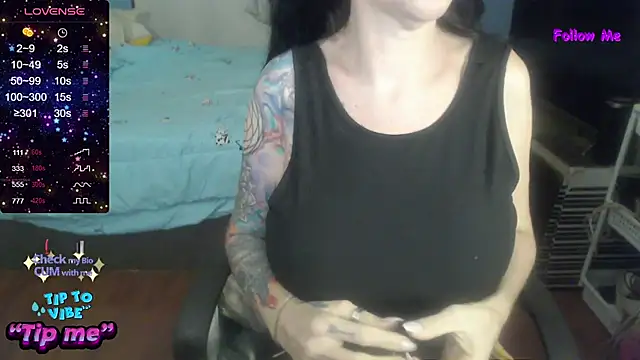 VenusX webcam