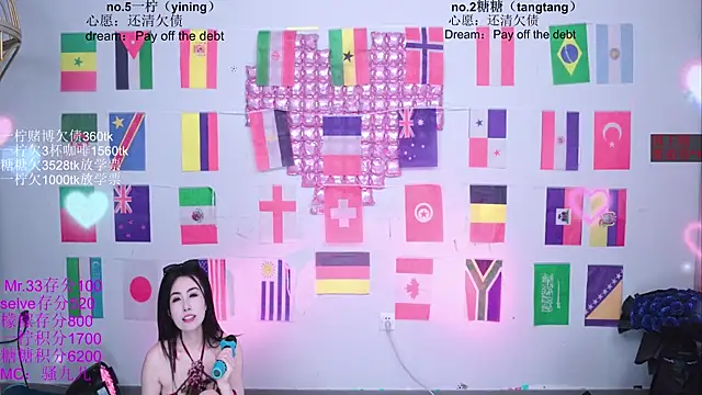 CCTW-100 webcam