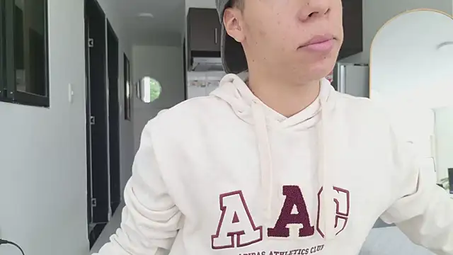 grey___27 webcam