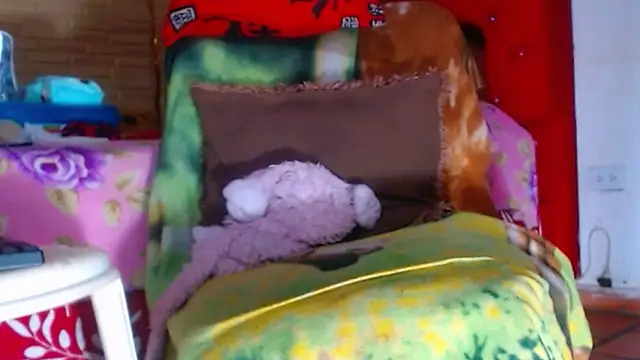 janex69 webcam