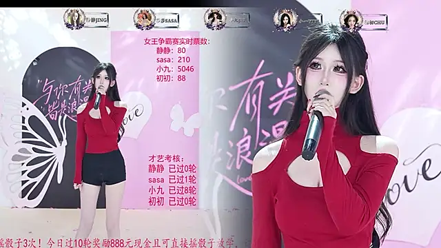 TY-002 webcam
