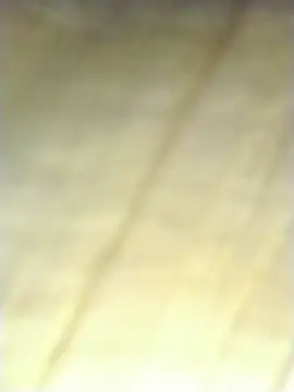 Sea-ice live cam on StripChat