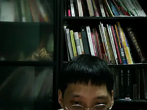 Lv8763 webcam