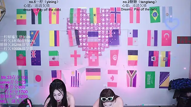 CCTW-100 webcam