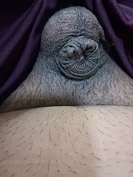 Sissydoggy webcam