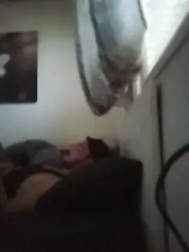 Dukeeman webcam