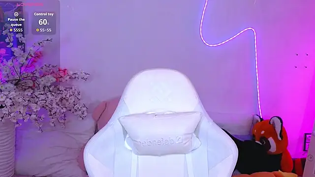 Deibora webcam