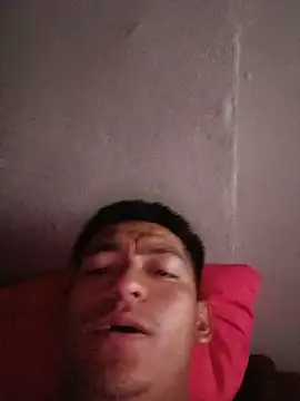Shagui_y_bulma webcam