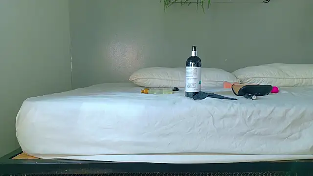 LexaDominant__ webcam