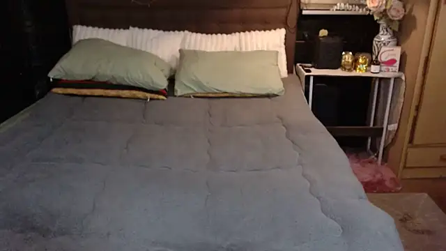 xheavenlytrans webcam