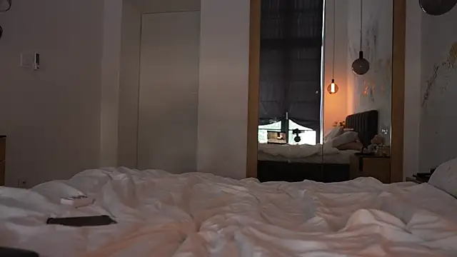 ibiddi webcam