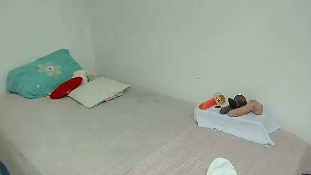Agatha_browser webcam
