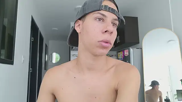 grey___27 webcam