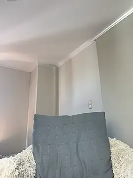 Samispank webcam