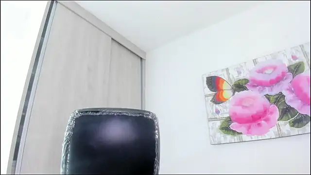 barbie_ds webcam