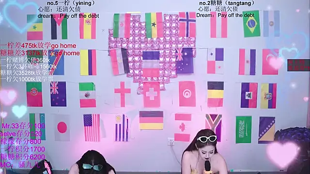 CCTW-100 webcam