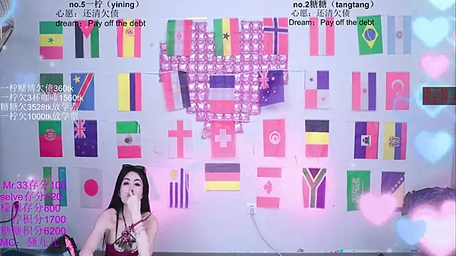 CCTW-100 webcam