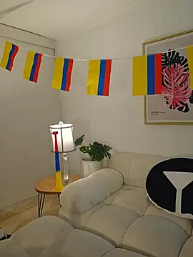 ColibriBlack webcam