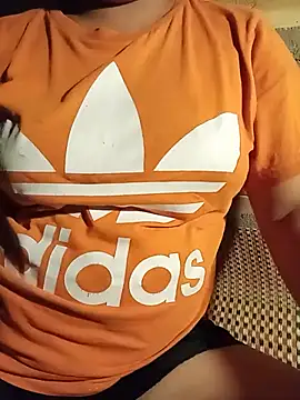 Ip34 webcam