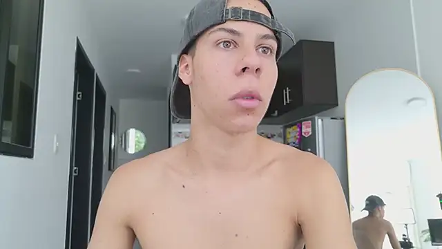grey___27 webcam