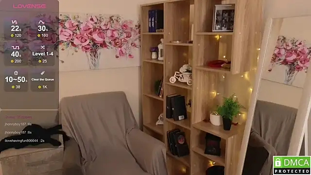 Sue_Sanders webcam