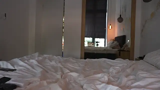 ibiddi webcam
