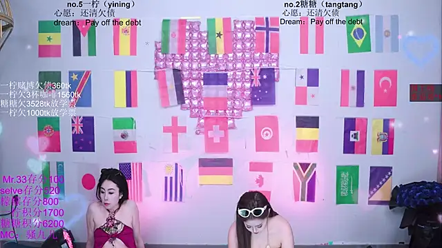 CCTW-100 webcam