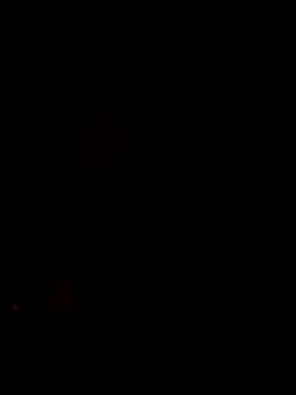Pitercom webcam