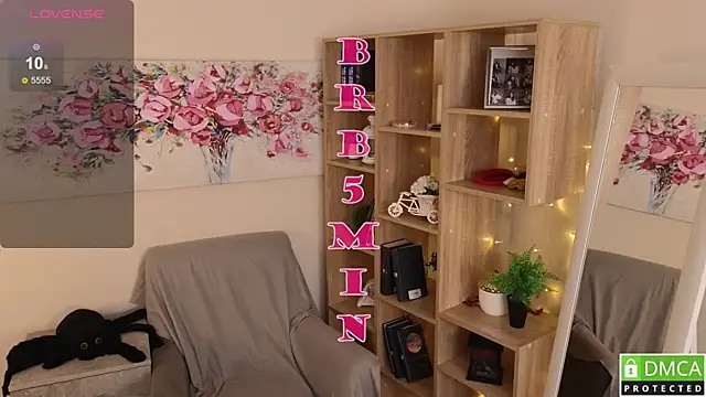 Sue_Sanders webcam
