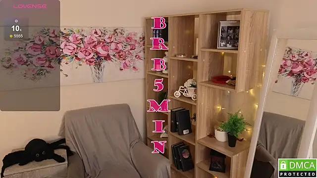Sue_Sanders webcam