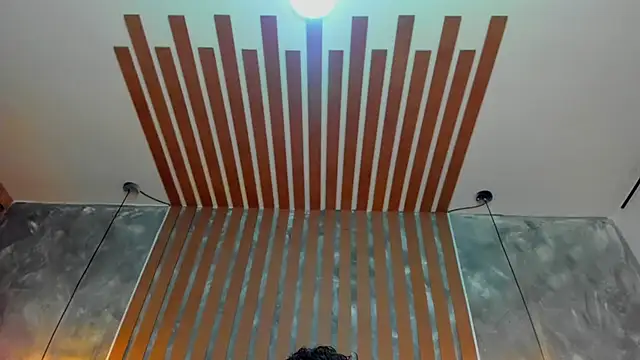 ZoeANDAlex_ webcam