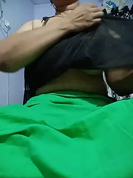 Hansikatelugu webcam