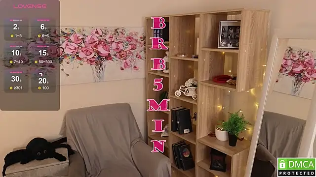 Sue_Sanders webcam