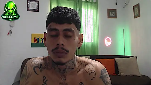 alpha_zom webcam