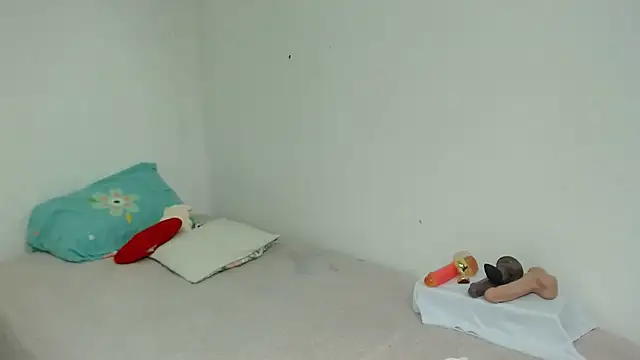 Agatha_browser webcam