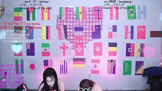 CCTW-100 webcam