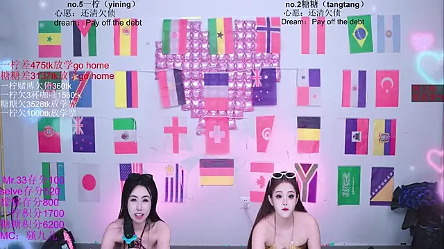 CCTW-100 webcam