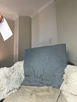 Samispank webcam