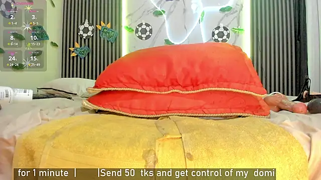 Morochaa-fire webcam