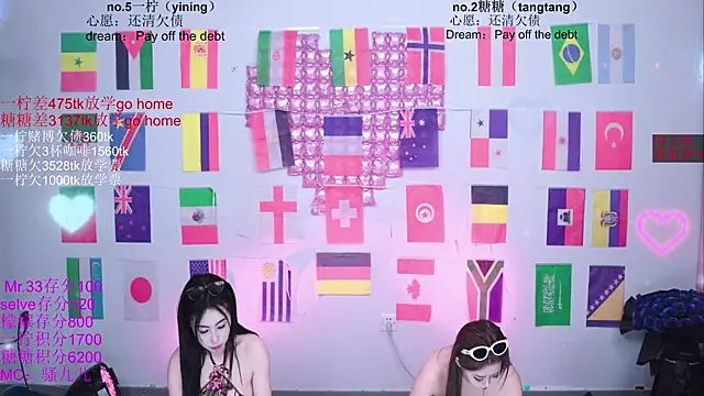 CCTW-100 webcam