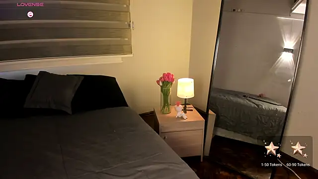 MERIDA_TAYLOR webcam