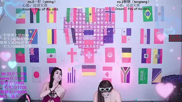 CCTW-100 webcam