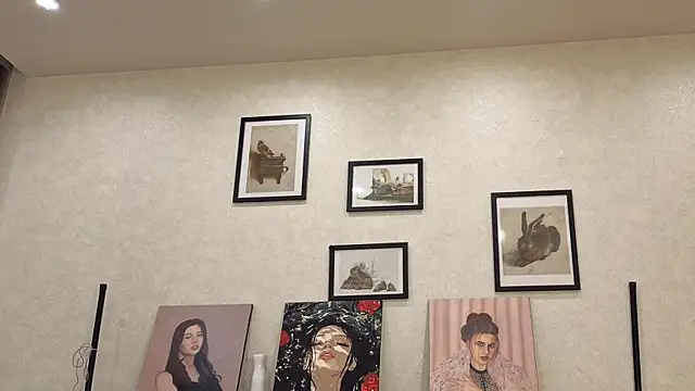 dolly_ll webcam