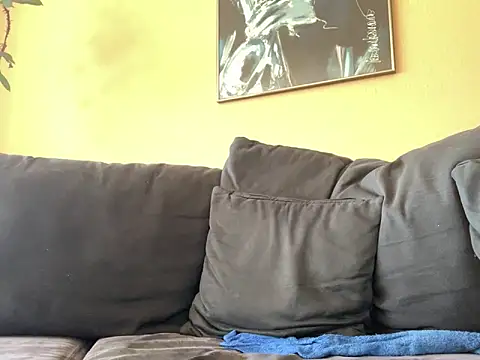 Bula94193 webcam