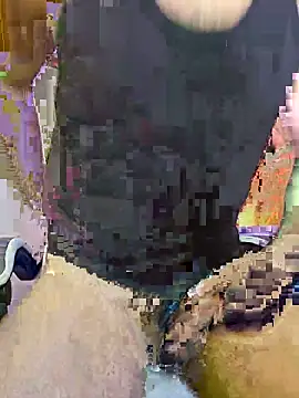 Samir_bear webcam
