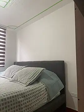 Abby-LS webcam
