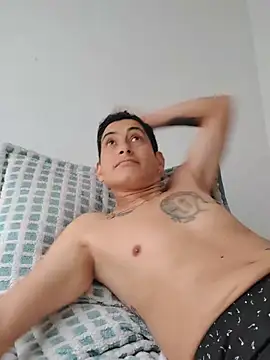 Tiger_cryad webcam
