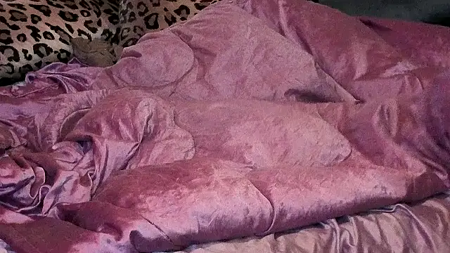 SquirTwerps webcam